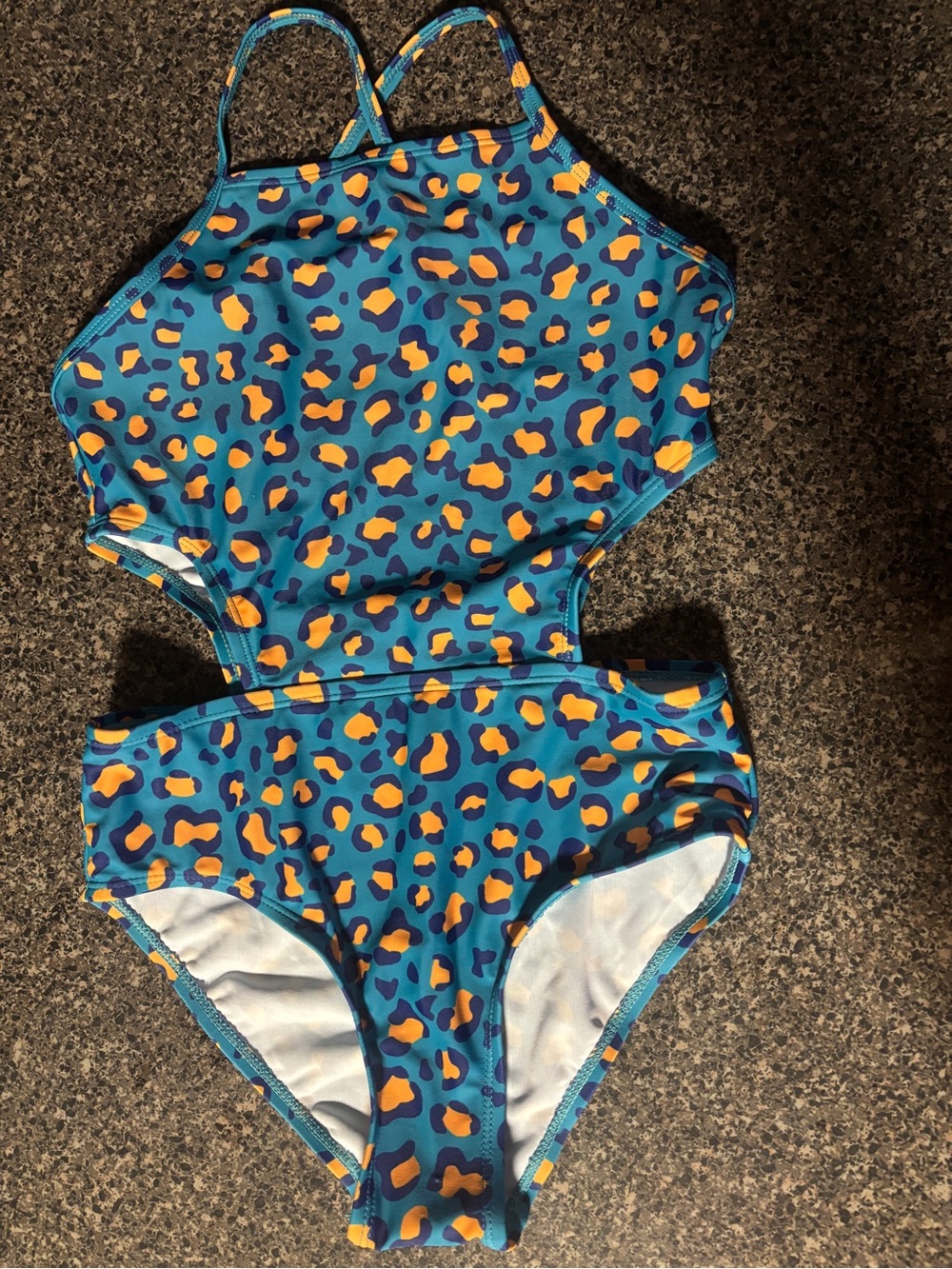 Blue Leopard Print Two-Piece Swimsuit